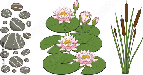 Water Lily Pond Elements Illustration with Blooming Lotus Flowers, Green Leaves, River Stones and Reed Plants for Nature, Zen and Landscape Design