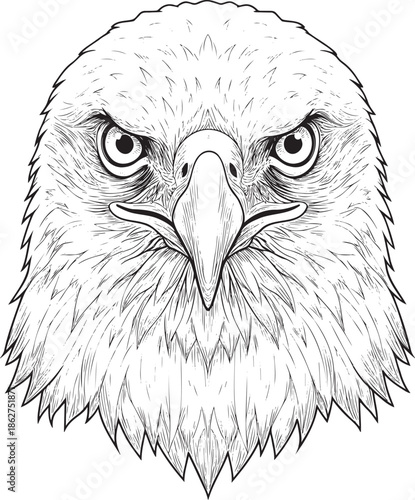 Majestic eagle head with intense gaze and sharp feathers