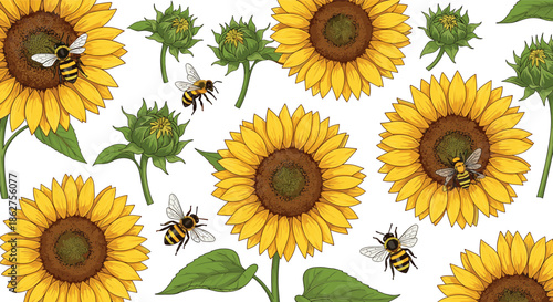 Sunflower and Honey Bee Illustration Set with Blooming Yellow Flowers, Leaves and Flying Bees Showing Summer Nature, Pollination and Botanical Design