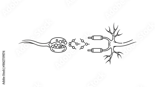 A simplified, black-and-white illustration depicting the structure of a cell and the process of information transfer or reception
