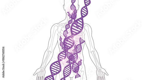 A skeletal human figure with purple DNA strands intertwining through the body. The illustration conveys genetic makeup and biological structure