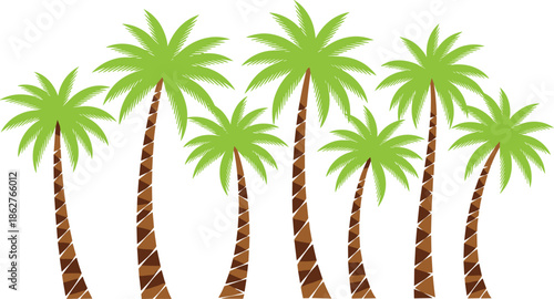 Tropical Palm Tree Collection with Green Fronds and Stylized Brown Trunks Vector Illustration for Summer and Beach Vacation Designs