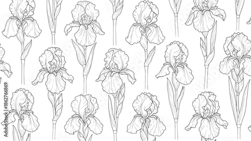 Seamless floral pattern featuring hand drawn iris flowers in black and white creates an elegant and timeless background.