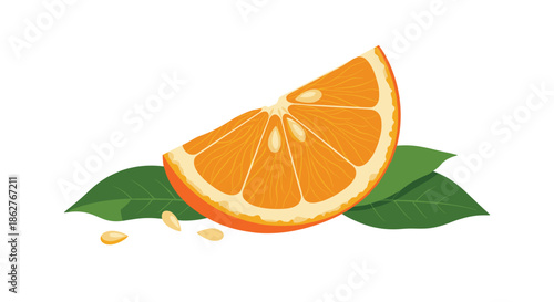 A juicy and detailed illustration of a single orange wedge with green leaves and scattered seeds on a white background.