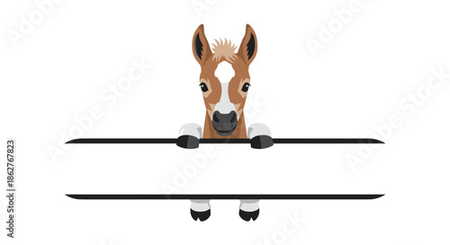 Young brown horse foal peeking over and under a wide horizontal white banner in a simple and clean color illustration.