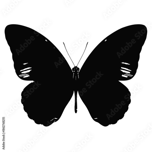A black butterfly silhouette