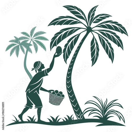 Of person picking coconut from palm tree silhouette