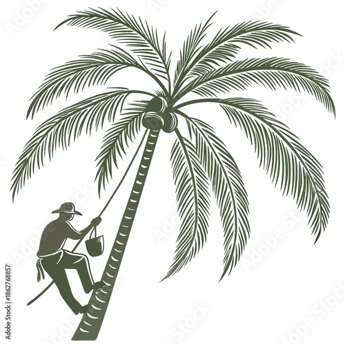 Green palm tree with worker descending tropical