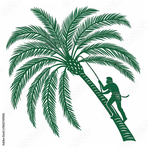 Green palm tree with man climbing tropical