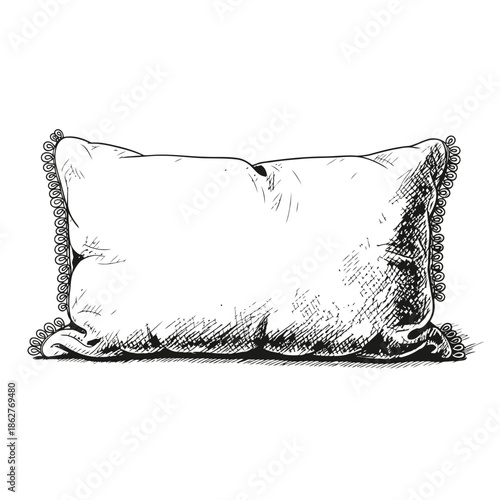 A pillow with a decorative trim