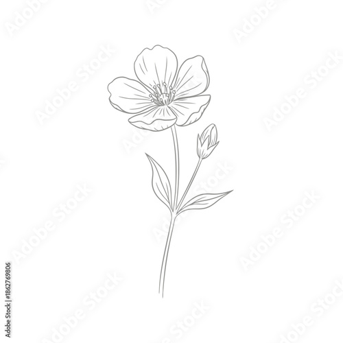 A beautiful line drawing of a flower with a bud and leaves on a stem