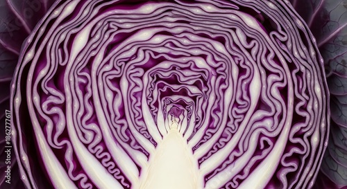 Close-up of a cut red cabbage.