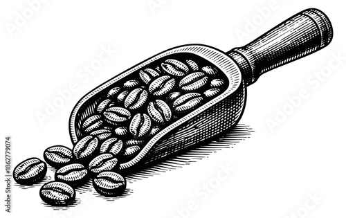 Hand drawn line art illustration of coffee beans in a scoop depicting pouring for cafe and restaurant branding