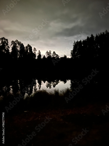 Glowing patch of grass illuminates the lakeshore, breaking the darkness of a quiet night forest. Reflections and silhouettes. Ukraine Voditsa Forest, Kyiv