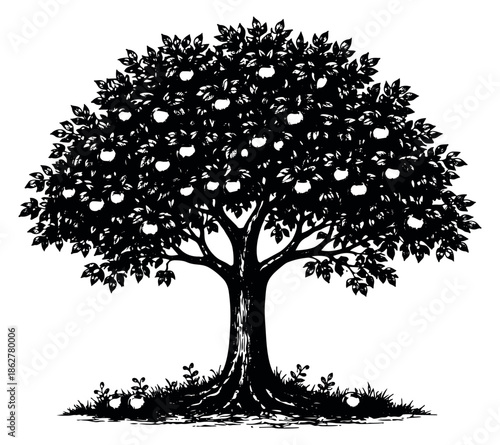 Hand drawn illustration of an apple tree depicting ripe fruit and lush foliage for nature and organic food concepts