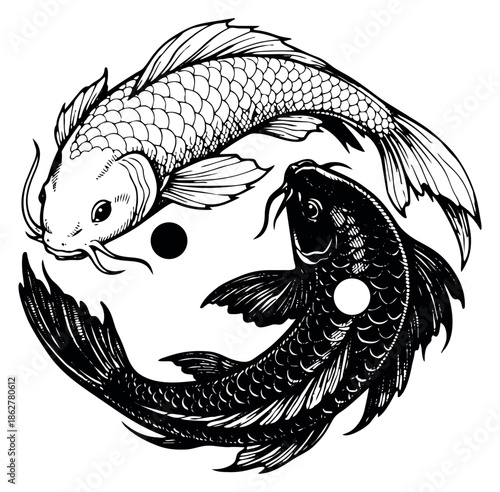 Hand drawn illustration of two koi fish depicting yin yang symbol for traditional Japanese art