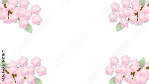 満開の桜の枝が四隅で揺れる背景透過のタイトルバック素材