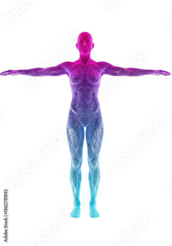Gender-neutral figure, fuchsia-purple to blue-cyan particle render, arms outstretched, on transparent background with copy space. Digital identity concept