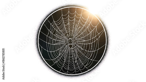 A spiderweb with a spider in the center, rendered in white against a dark background within a circle shape, light glow
