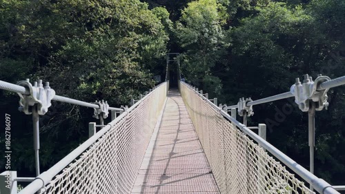 Wallpaper Mural Walking Across a Swaying Suspension Footbridge Through Lush Forest Torontodigital.ca