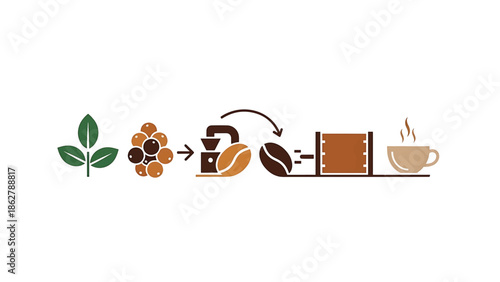 A stylized illustration depicts the coffee-making process from leaves and fruit to a steaming cup. Arrows show transformation stages