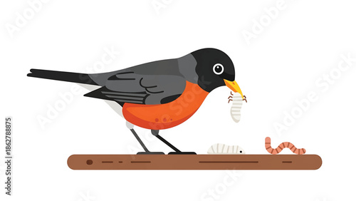 A stylized illustration features a bird with an orange breast and gray back holding a worm in its beak on a brown branch, with more worms