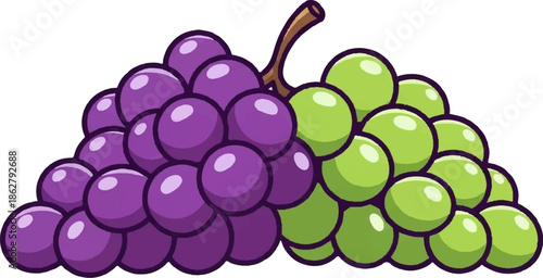 A charming illustration featuring two bunches of plump, colorful grapes, one purple and one green