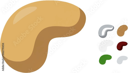 A large cashew nut beside a variety of smaller, differently colored nut shapes