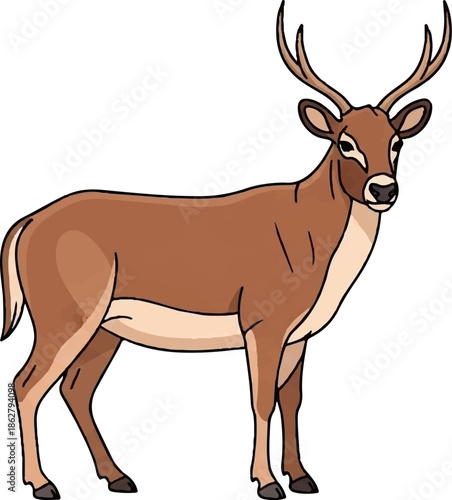 A cartoon male deer with brown fur and antlers stands facing slightly right on a white background