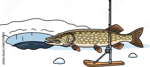 A freshly caught pike fish lies on snow next to an ice fishing hole with a small rod setup