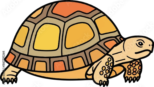 A cartoon-style tortoise with a patterned shell in shades of orange and yellow, on a white background