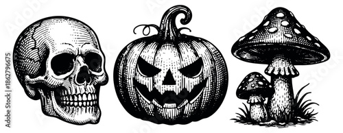 Engraved style hand drawn line art Halloween set featuring a skull, a jack-o'-lantern, and mushrooms for spooky themed designs