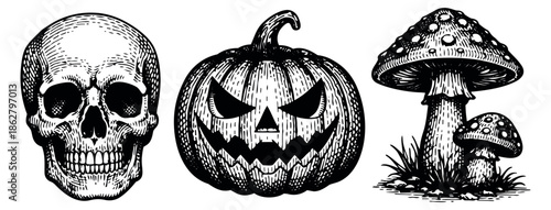 Vintage hand drawn line art set featuring a skull, jack-o'-lantern, and mushrooms for Halloween