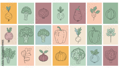 A large grid collage of various root and leafy vegetables drawn in a minimalist line art style on colorful backgrounds.