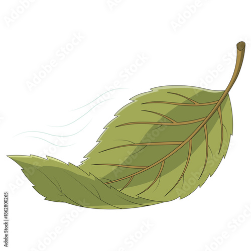 Green leaf with motion lines representing wind movement. Flat vector illustration suitable for autumn concepts, seasonal change, weather themes, and environmental campaigns.