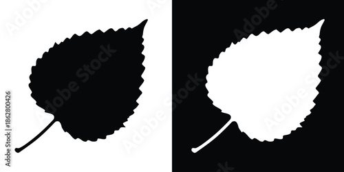 Birch leaf silhouette vector, black and white birch leaf icon