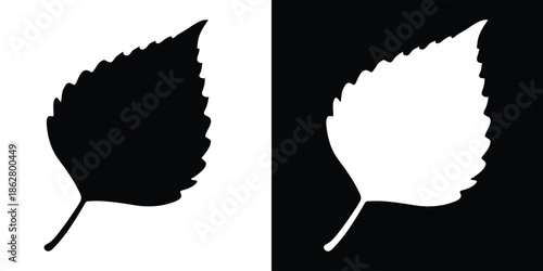 Birch leaf silhouette vector, black and white birch leaf icon