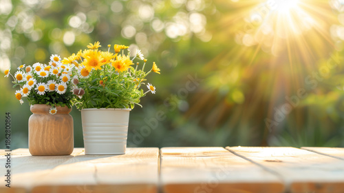 Two potted flowers bask in the warm glow of a sunlit garden, creating a serene outdoor scene