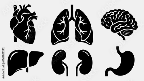 A collection of black and white silhouette icons representing major human organs including the heart, lungs, brain, liver, kidneys, and stomach.