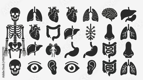 A collection of black and white icons representing various human organs and anatomical structures, including the skeleton, lungs, heart, brain, liver, stomach, kidneys, eyes, ears, and intestines.