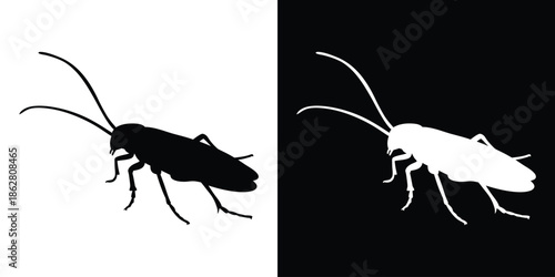 Cockroach silhouette, insect vector icon, pest shape, bug silhouette