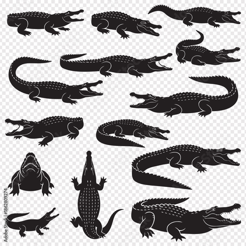 black silhouette crocodiles and alligators