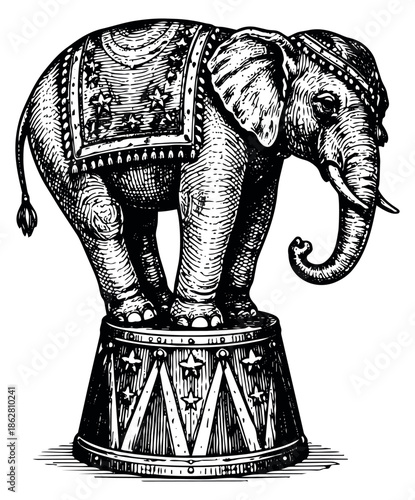 Hand drawn line art illustration of a circus elephant depicting it standing on a pedestal for a show