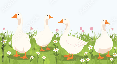 Group of four white geese standing in a lush green meadow filled with white daisies and pink tulips under a clear sky.