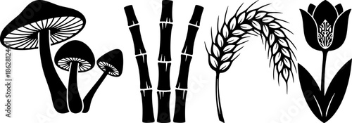 Graphic Set of Natural Icons: Mushrooms, Bamboo, Wheat, Tulip