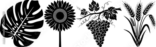 Black Botanical Silhouettes Set: Grapes, Wheat, Leaf, Flower Icons.