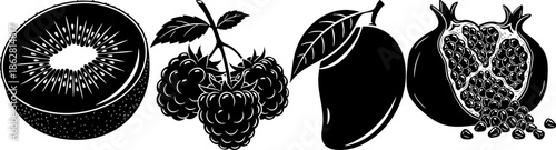 Fruit Engraving Vector Illustration Set Kiwi Raspberry Mango Pomegranate
