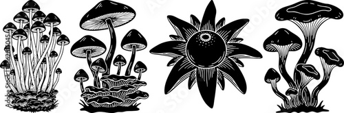 Detailed Mushroom and Botanical Line Art Illustration Set
