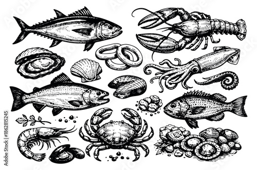 Hand drawn line art seafood set featuring fish, lobster, crab, shrimp, and shells for menu design