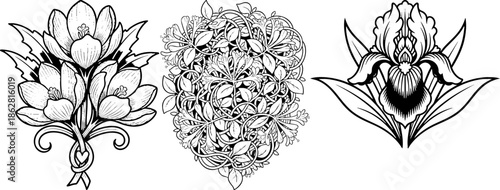 Vintage Botanical Flower Illustrations Set Black and White Engraving